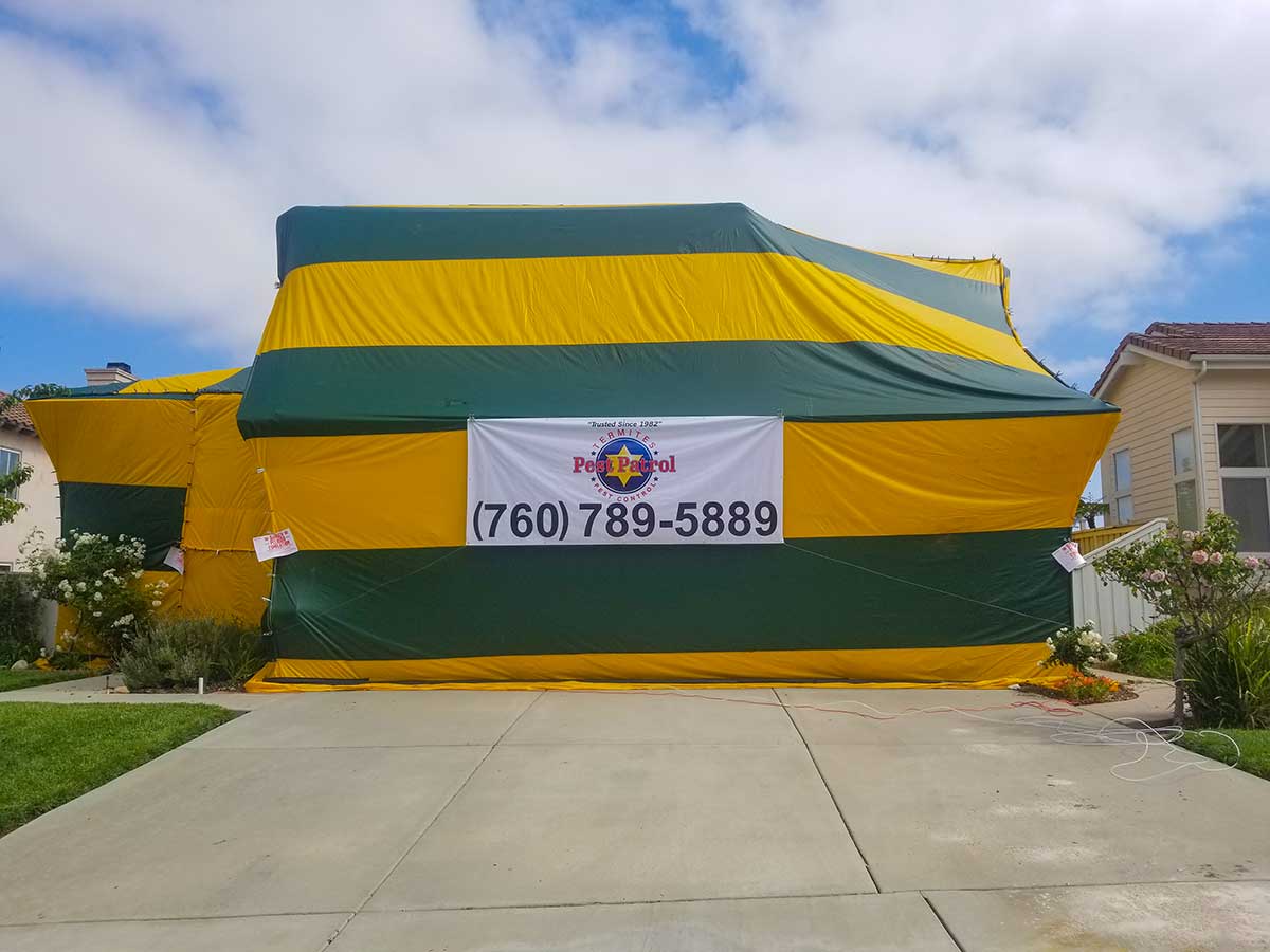 Pest Patrol's yellow and green termite fumigation tent over a house