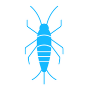 http://pestpatrol.com/wp-content/uploads/2022/09/silverfish-icon.png
