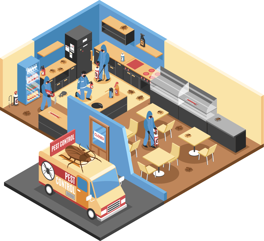 Isometric illustration of home pest control services