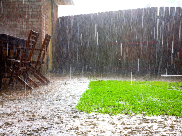 How Does Rain Affect Pest Control Treatments?