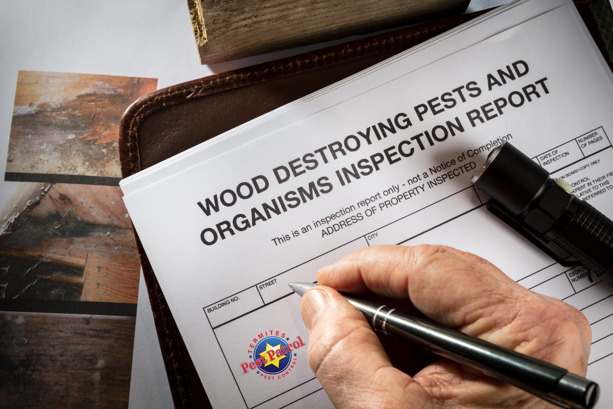 Termite Prevention